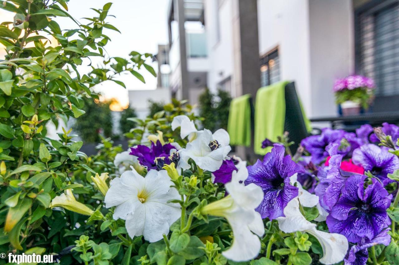 Eluxuria Sunny Villa Торевьиа Экстерьер фото